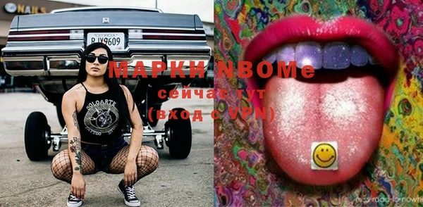 шишки Мегион