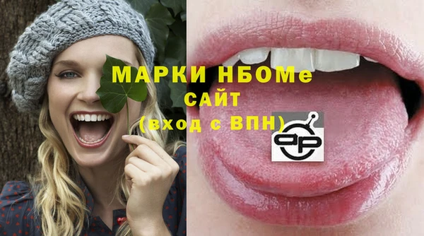 шишки Мегион