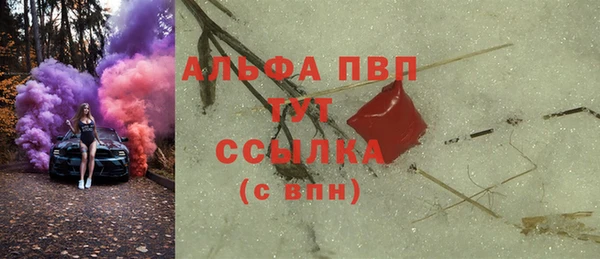 шишки Мегион