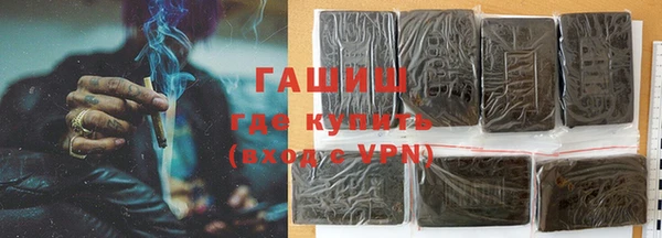 шишки Мегион